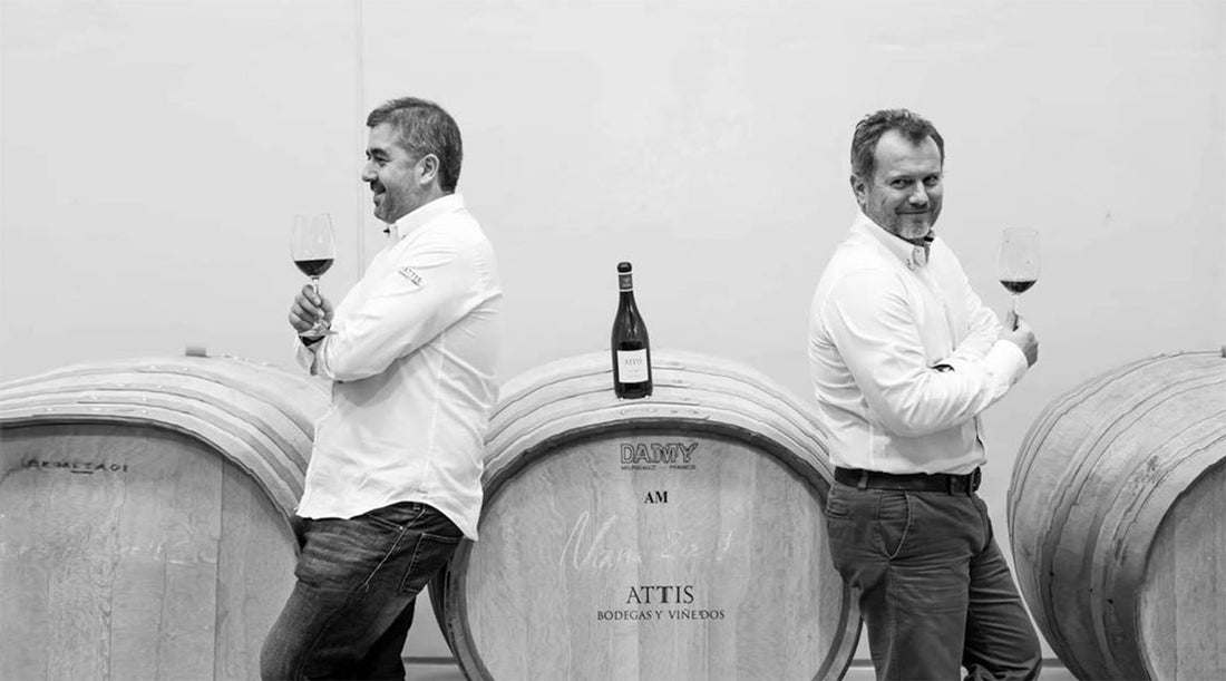 Attis Bodegas and Vinedos One of the 100 best wineries in 2016