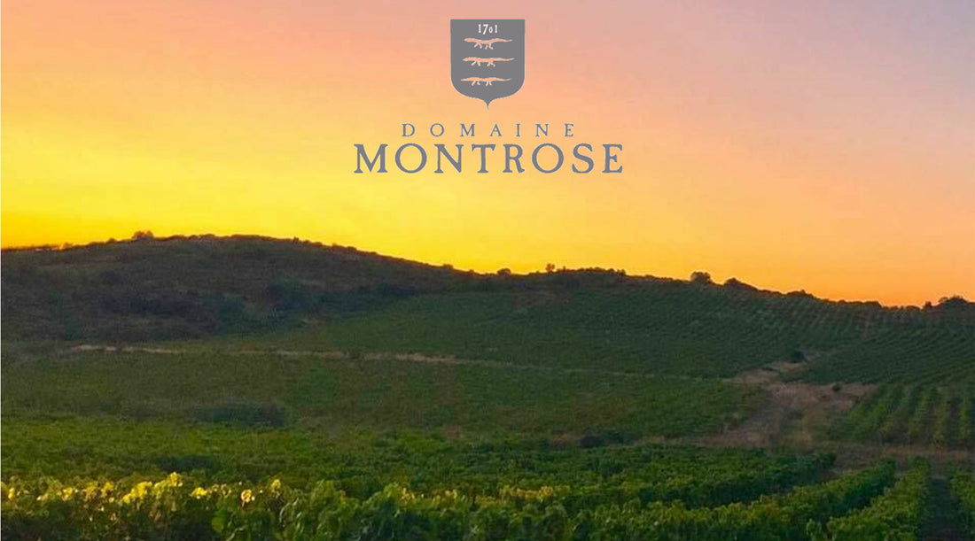 Domaine Montrose- Producing Great Roses from France