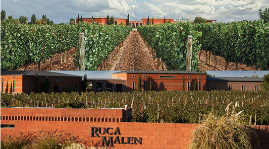 Ruca Malen High Quality Wines from Mendoza, Argentina