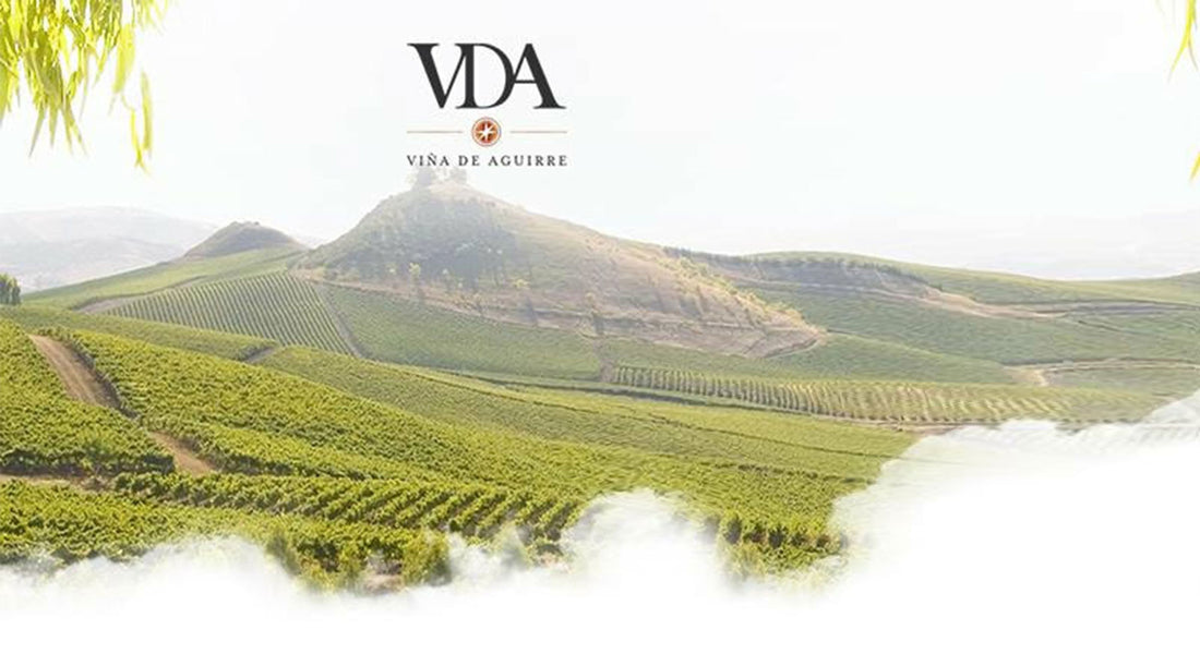 Viña de Aguirre ULMEN & RAIZ Our First Chilean Winery 