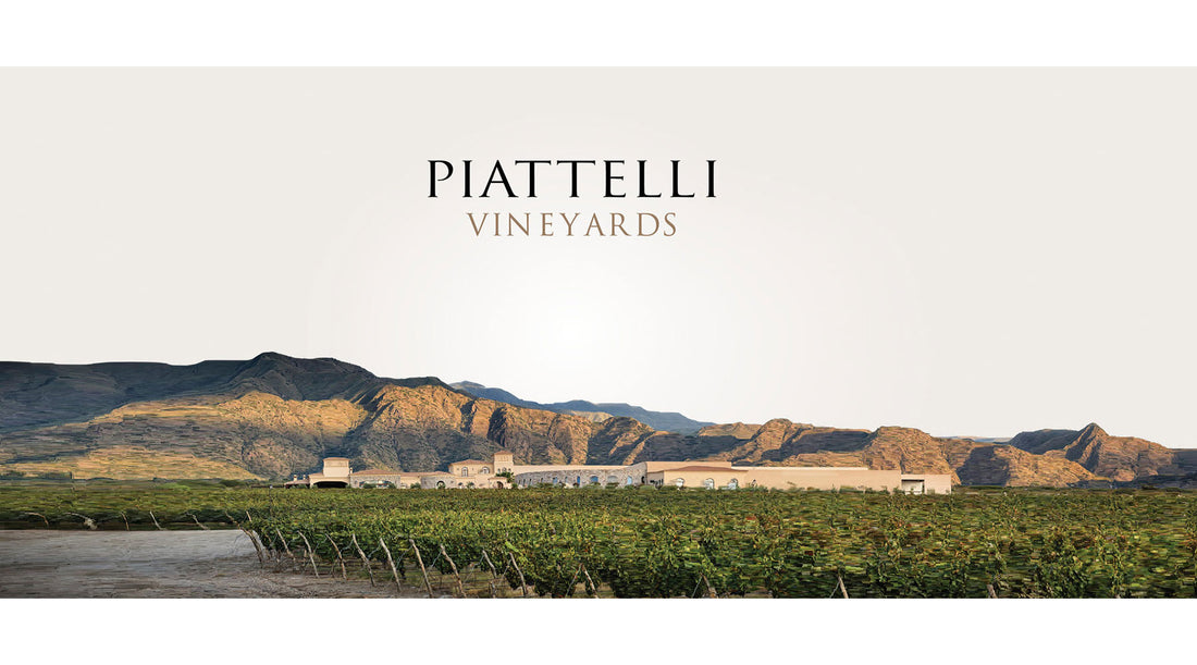 Piattelli (Argentina) One Brand & Two Wineries in the 2 Best Regions